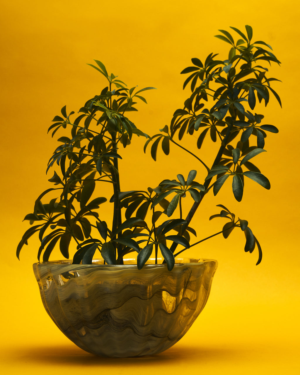 The Green Ribbed Glass Centrepiece Bowl